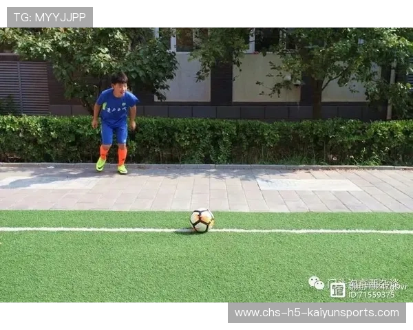 职业球员退役后的转型培训体系建设方向